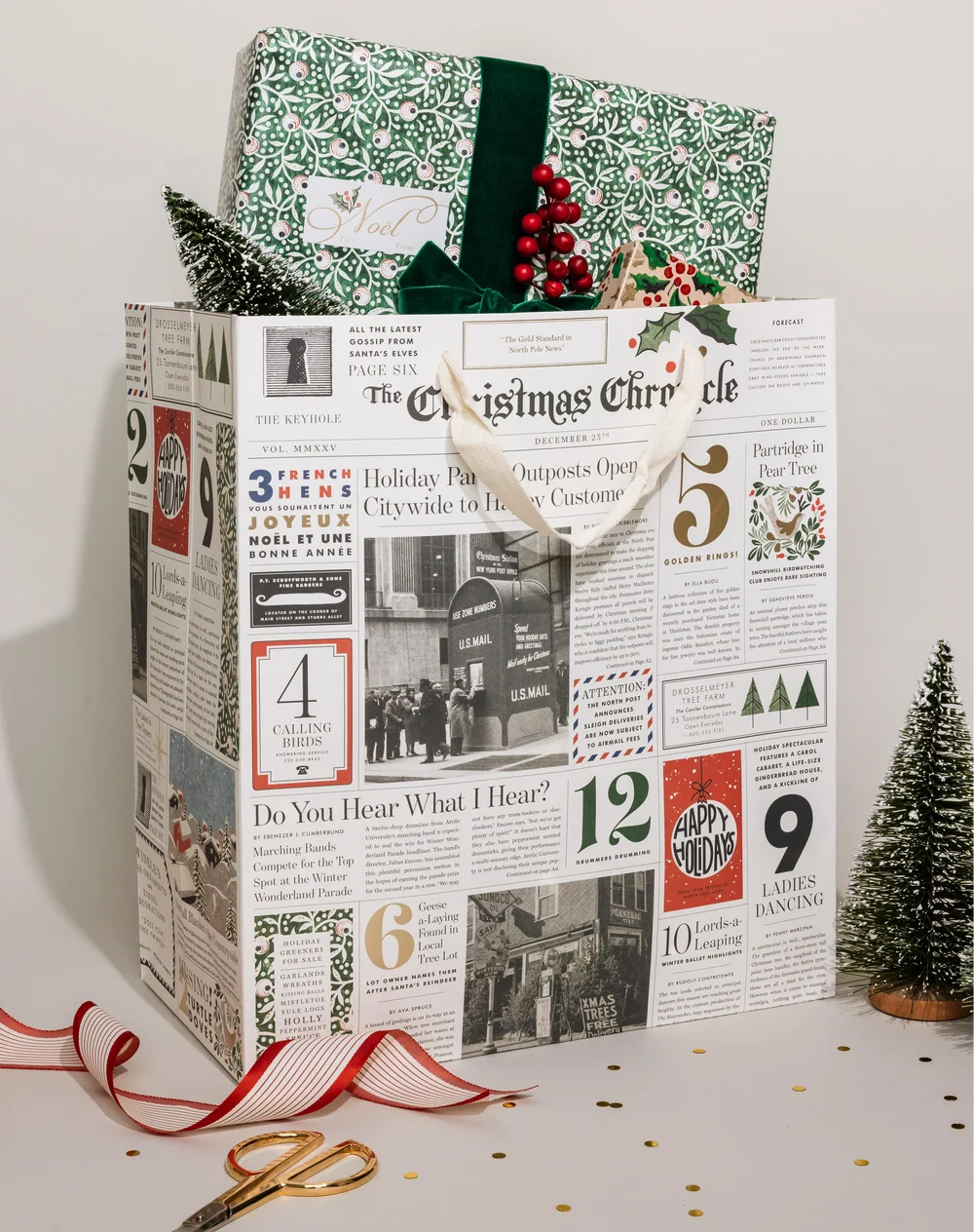 Christmas Chronicle Gift Bag