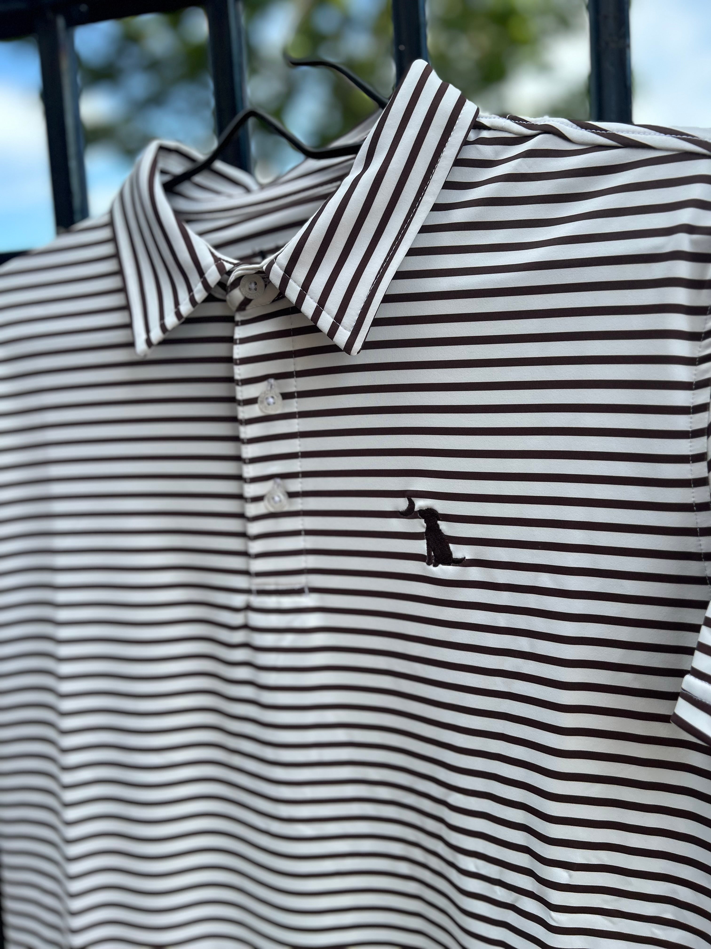 Edisto Polo Espresso/White