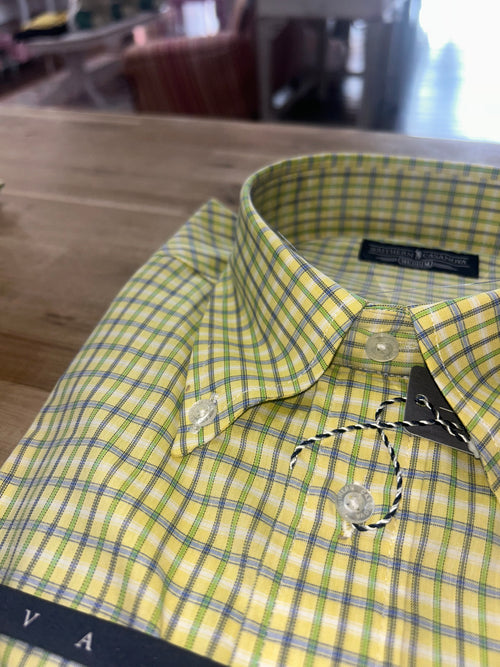 Button Down Raydrop Check