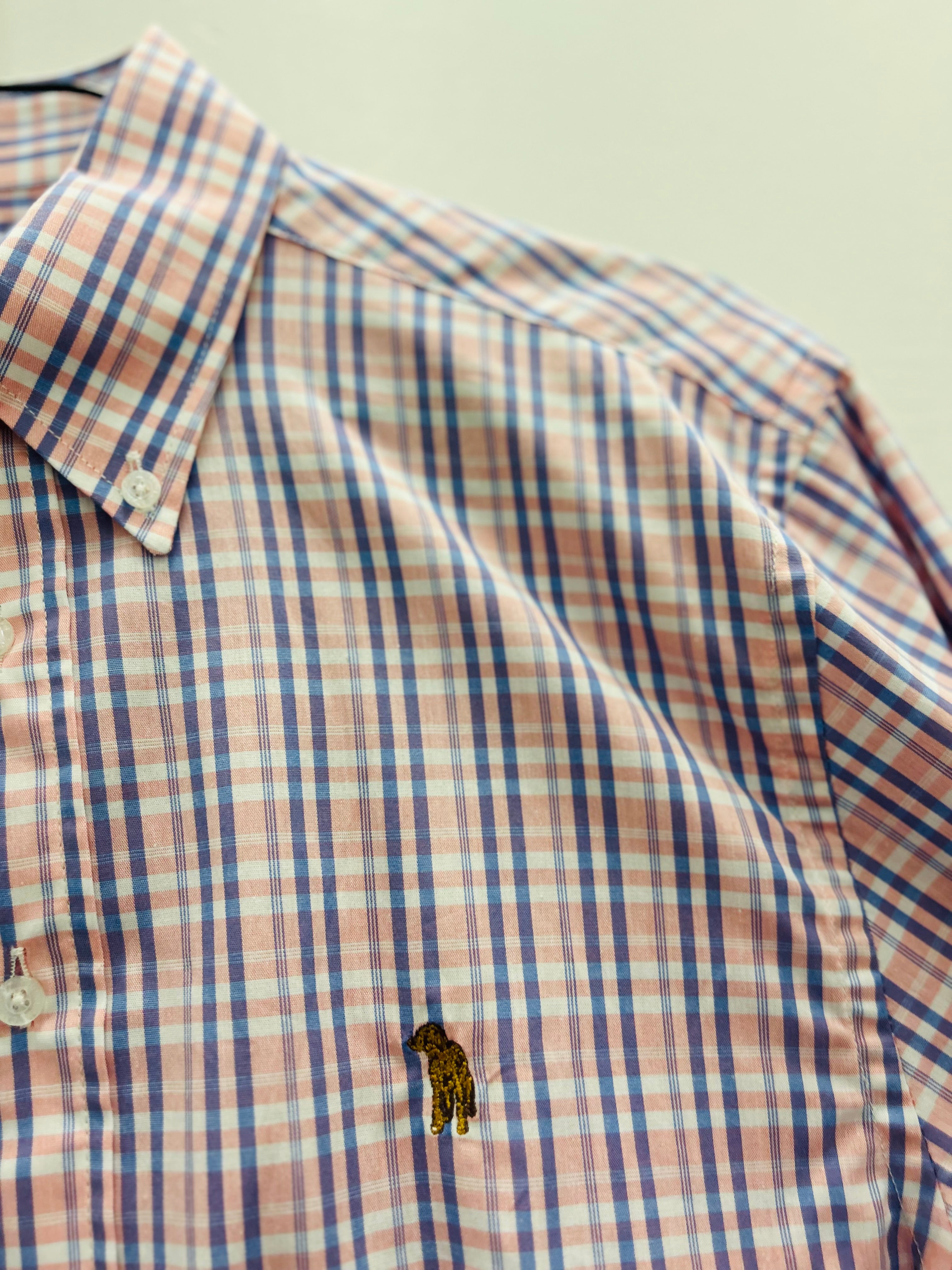 Southern Casanova Button Down Baitfish Check