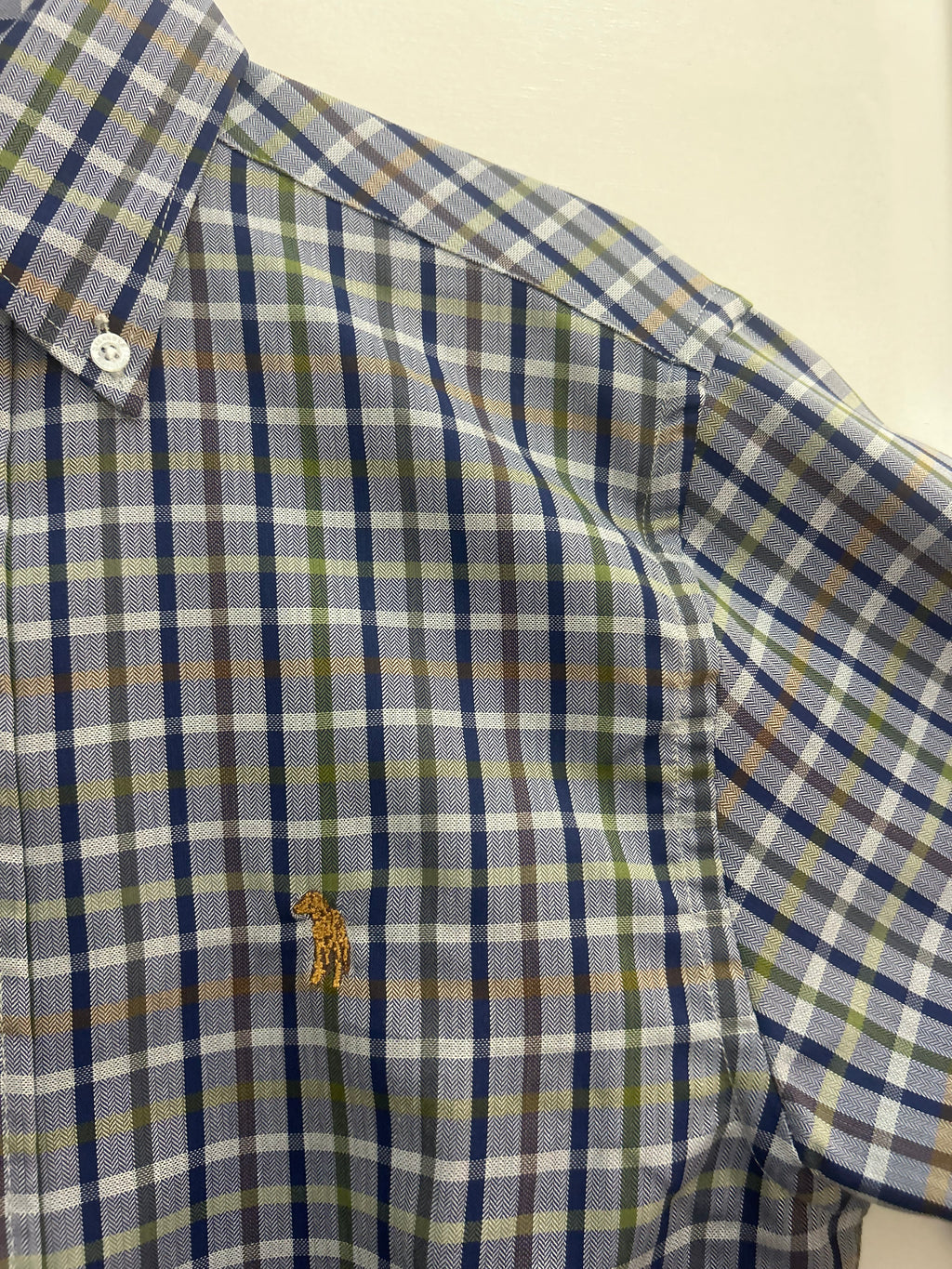 Rustic Blue Check Button Down