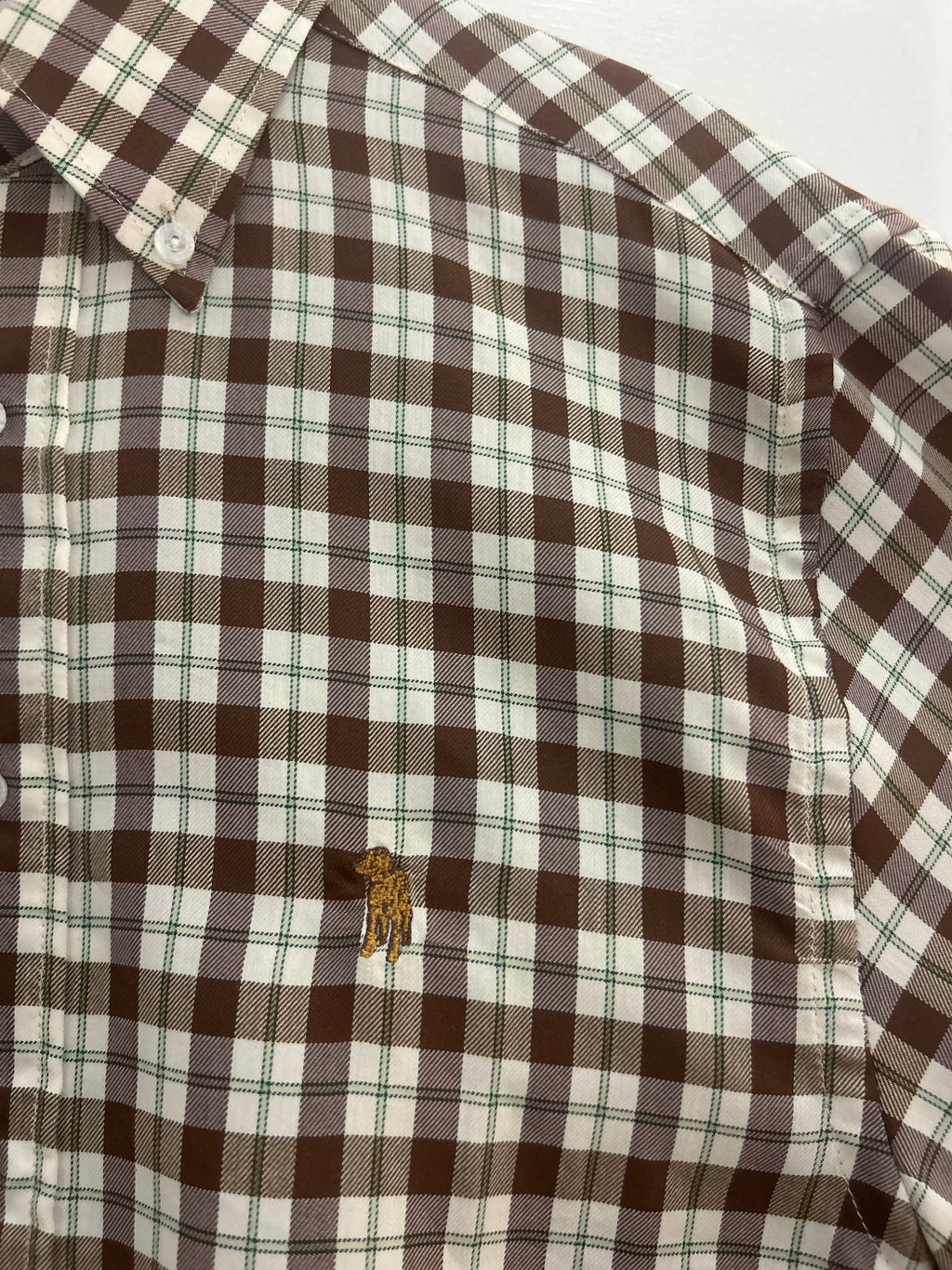 Southern Casanova button down/green/brown