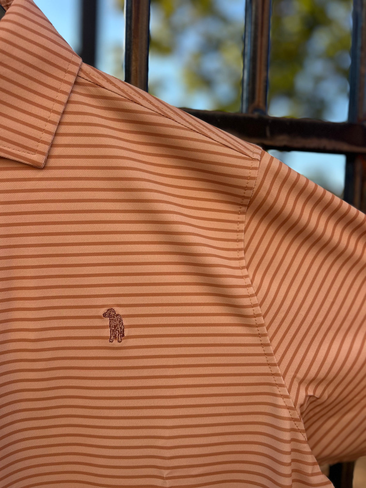 Pique Tail Feather Polo