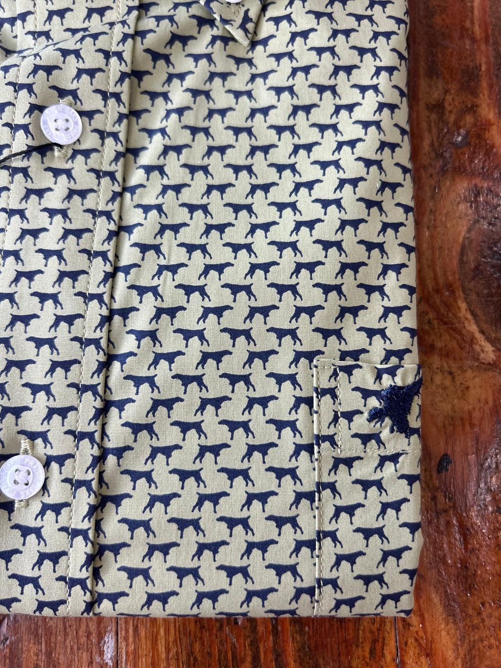 The Lodge Button Down - Bird Dogs Sage