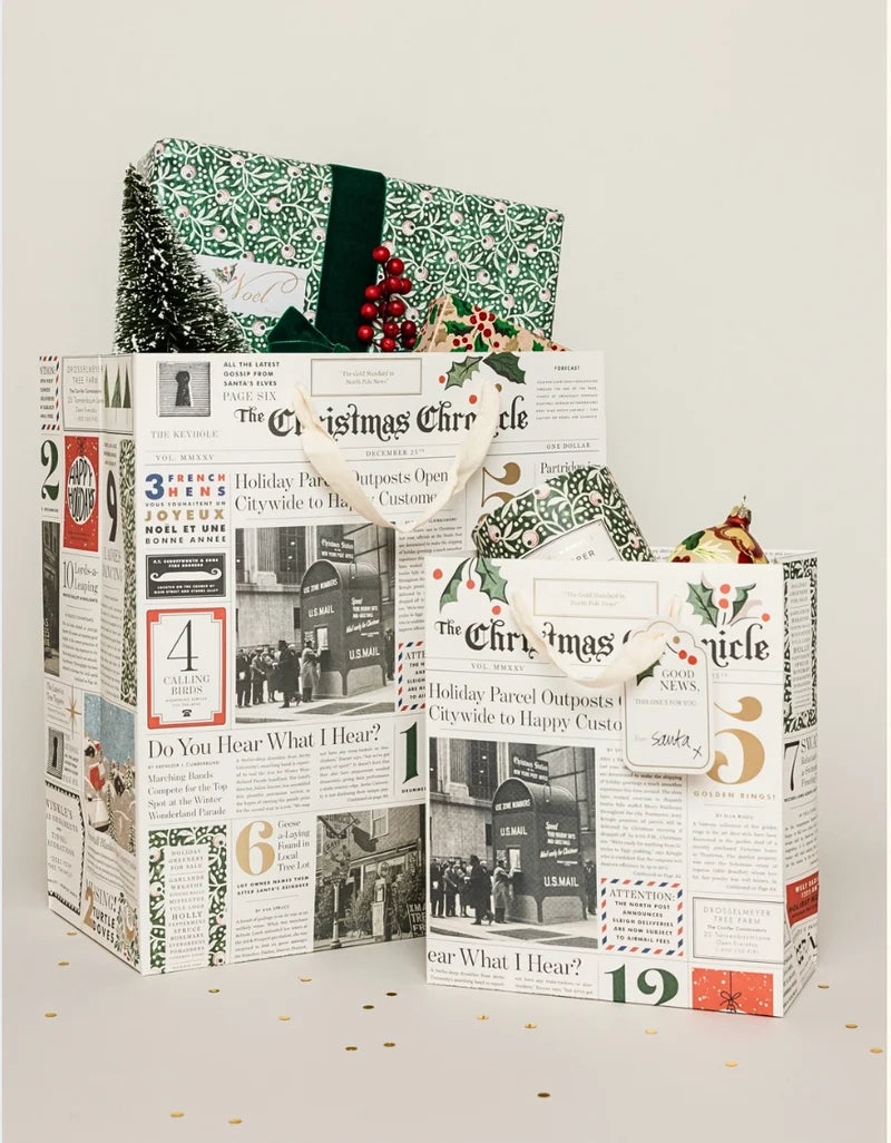 Christmas Chronicle Gift Bag