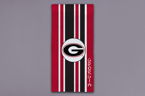 Red UGA stripe dishtowel